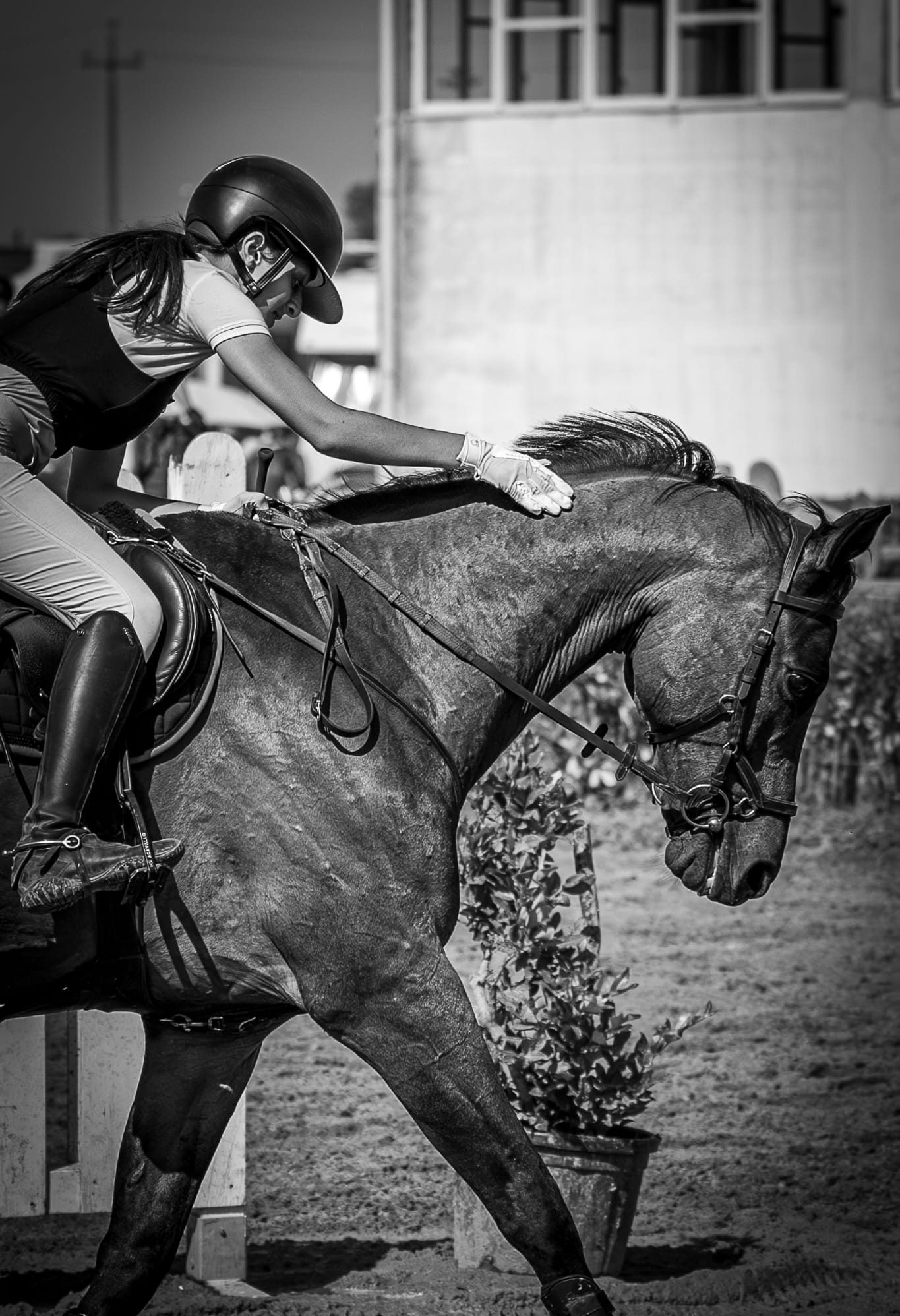 La fondatrice di Equilogy con il suo cavallo