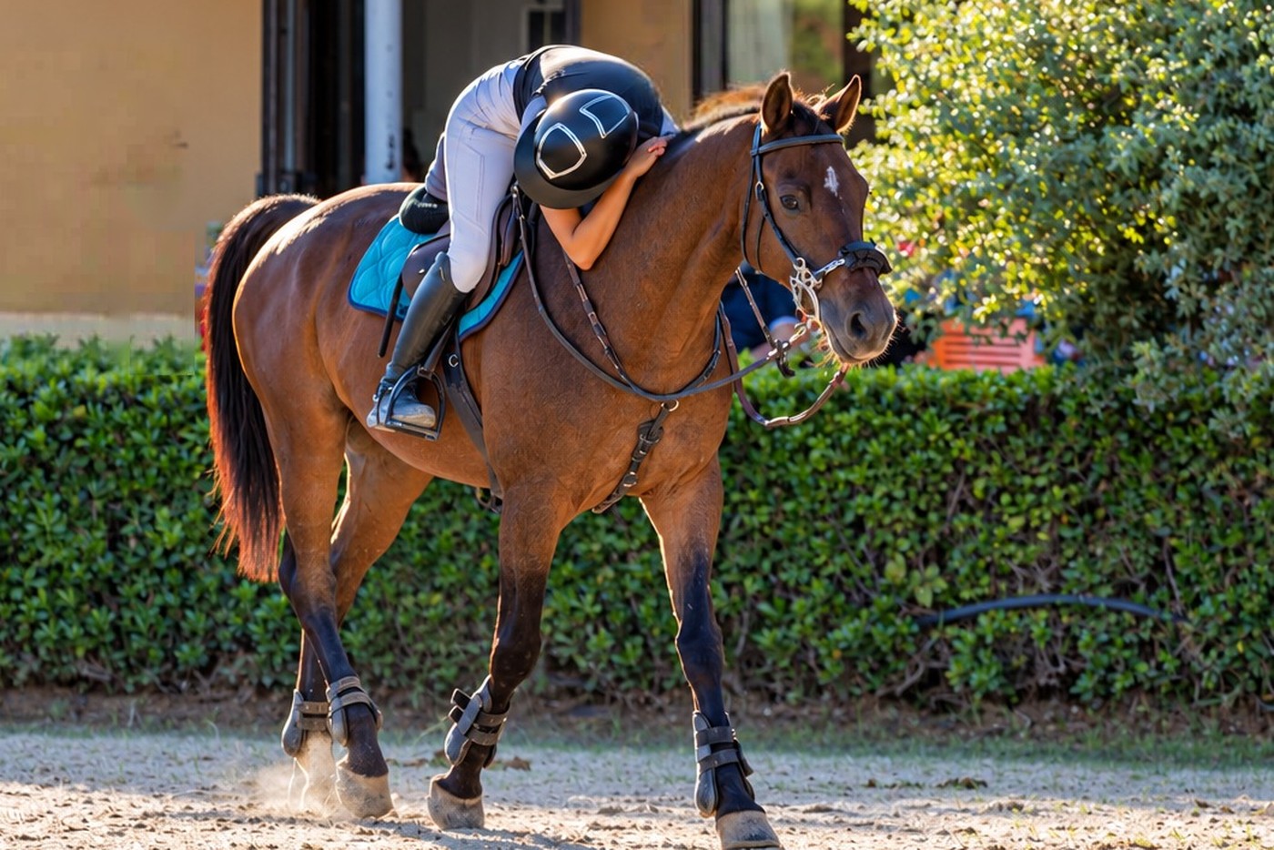 Cavallerizza che abbraccia il suo cavallo dopo l'allenamento
