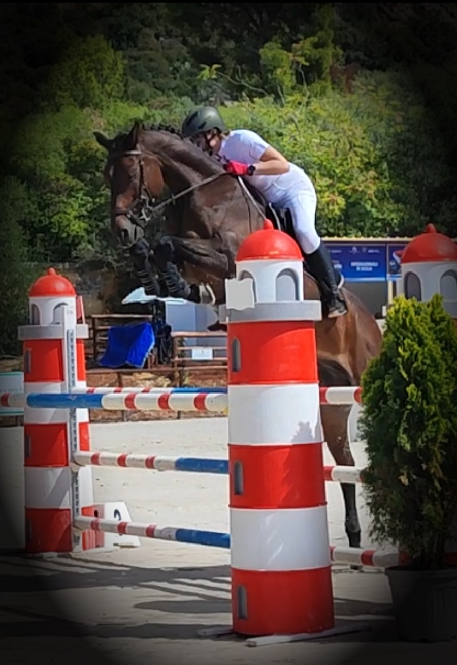 Horse and rider jumping at a competition in Palermo